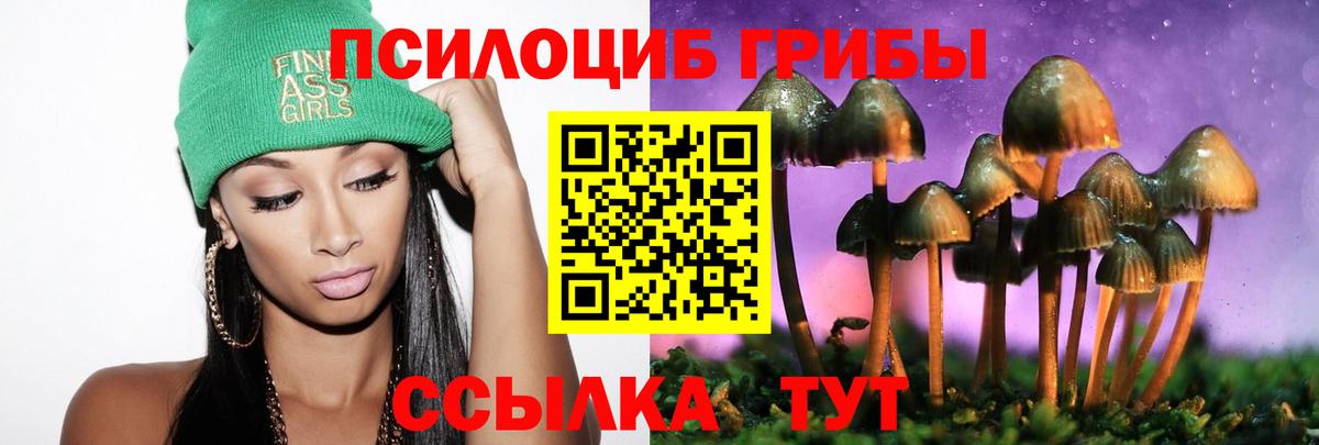 Псилоцибиновые грибы MAGIC MUSHROOMS  Вход с VPN  Куйбышев 